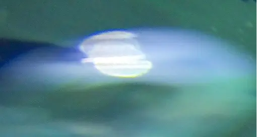 Ulubione wycieczki Blue Zadar